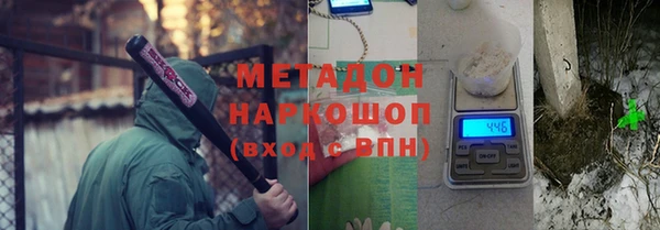 прущие грибы Абдулино