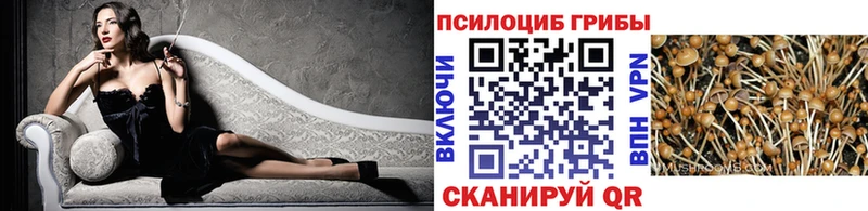 Псилоцибиновые грибы Cubensis  ОМГ ОМГ ССЫЛКА  Циолковский 
